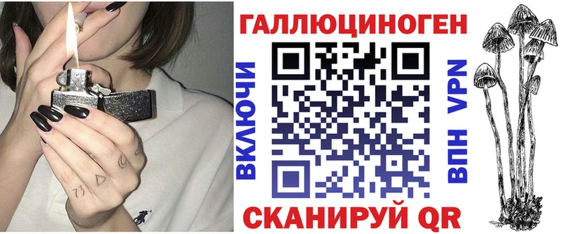 купить   Черногорск  Галлюциногенные грибы Cubensis 